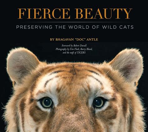 fierce beauty preserving the world of wild cats Reader